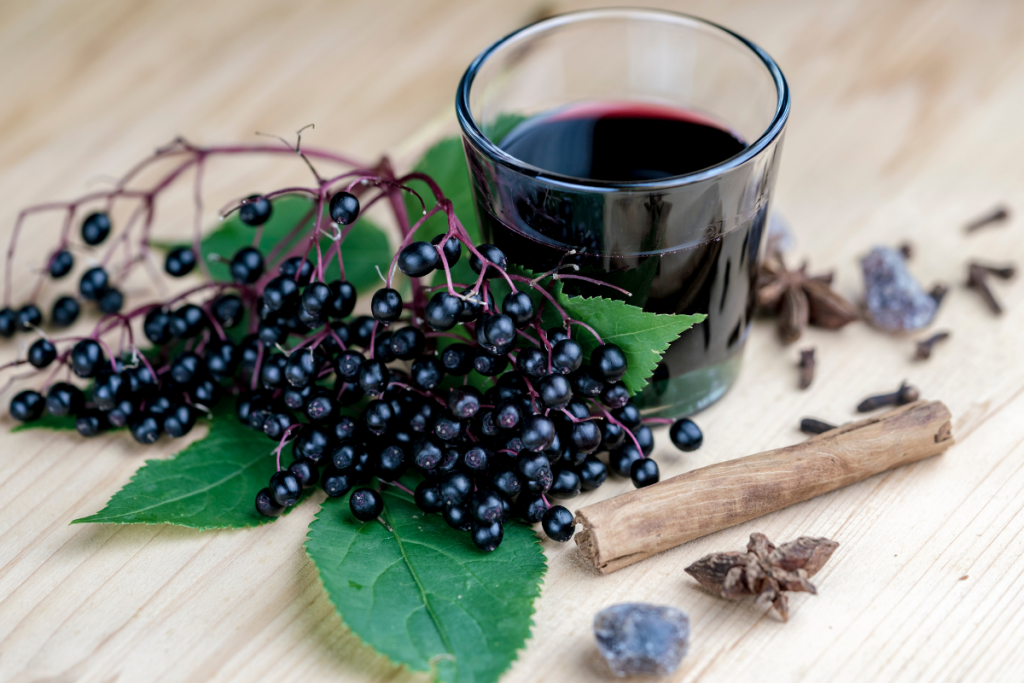 elderberry for cold and flu symptoms